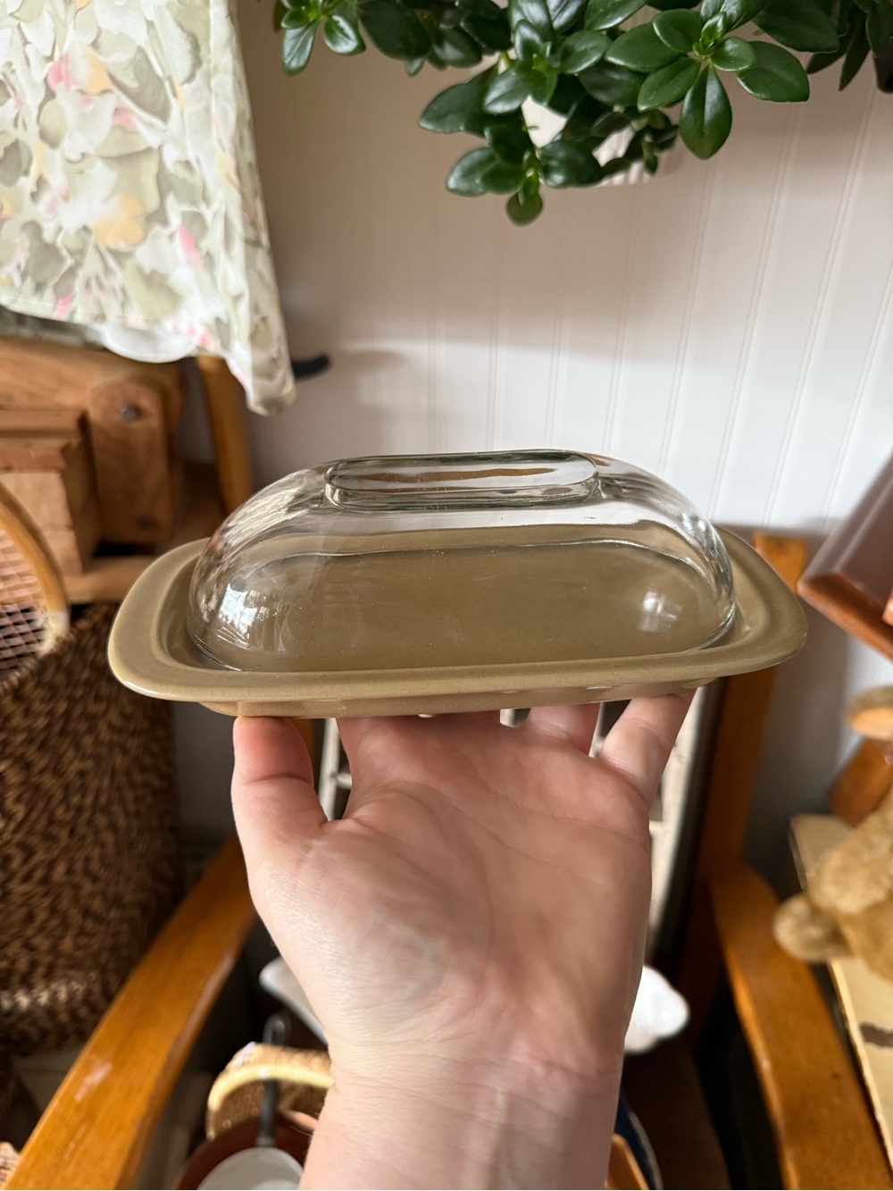 Glass Butter Dish with Beige Ceramic Base